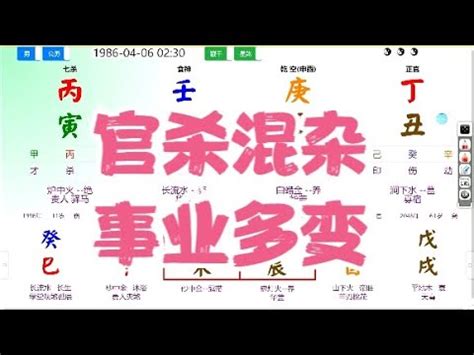 八字重量分析|免費線上八字計算機｜八字重量查詢、五行八字算